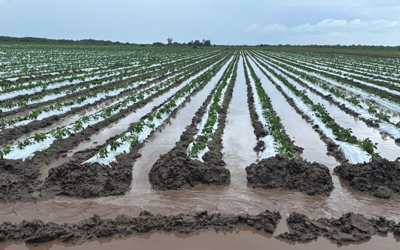 Lluvias, presas y cultura del agua