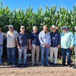 Grupo de expertos de Alto Rendimiento anticipa el primer ciclo agrícola de 20 a 25 toneladas por hectárea de maíz